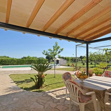 Tabou Selva (Mallorca)